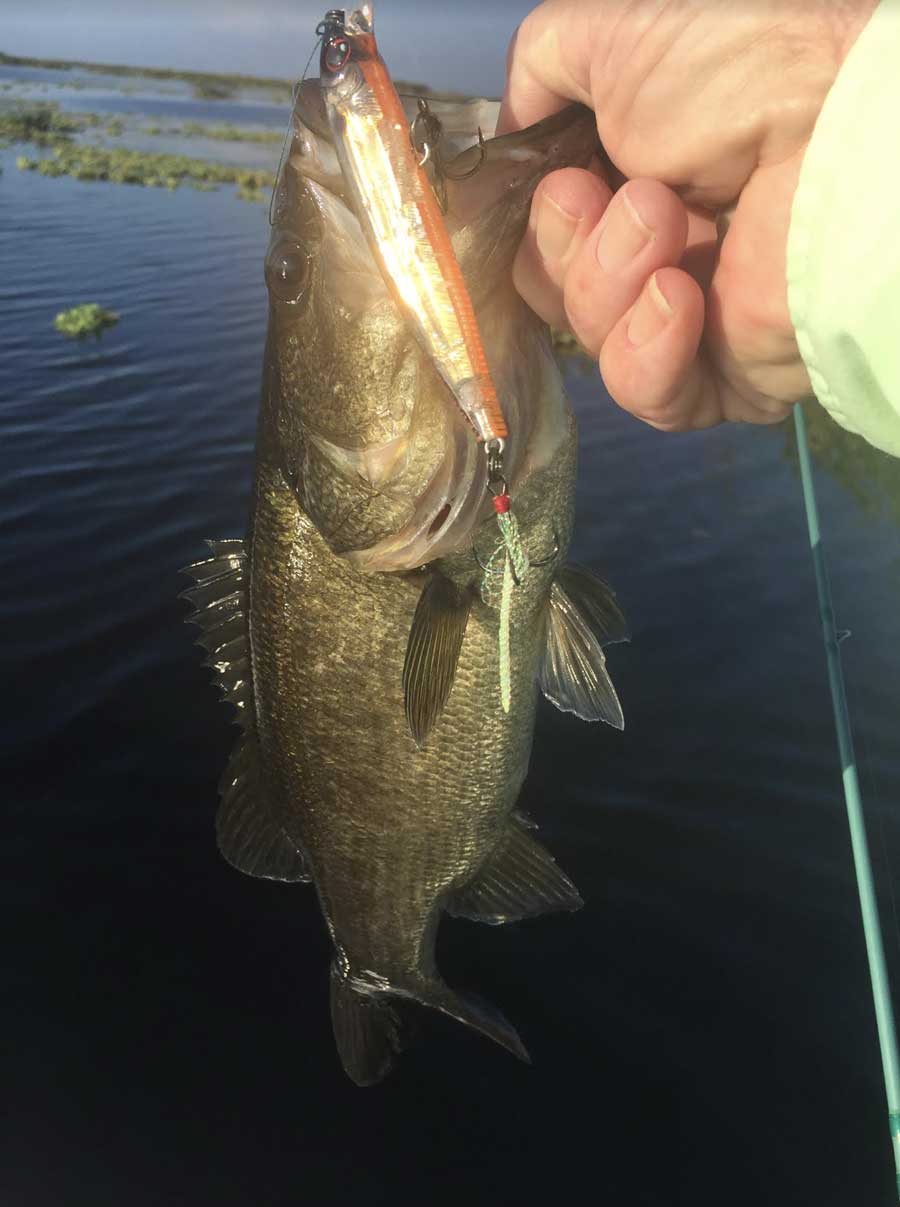 bass fishing headwater lake