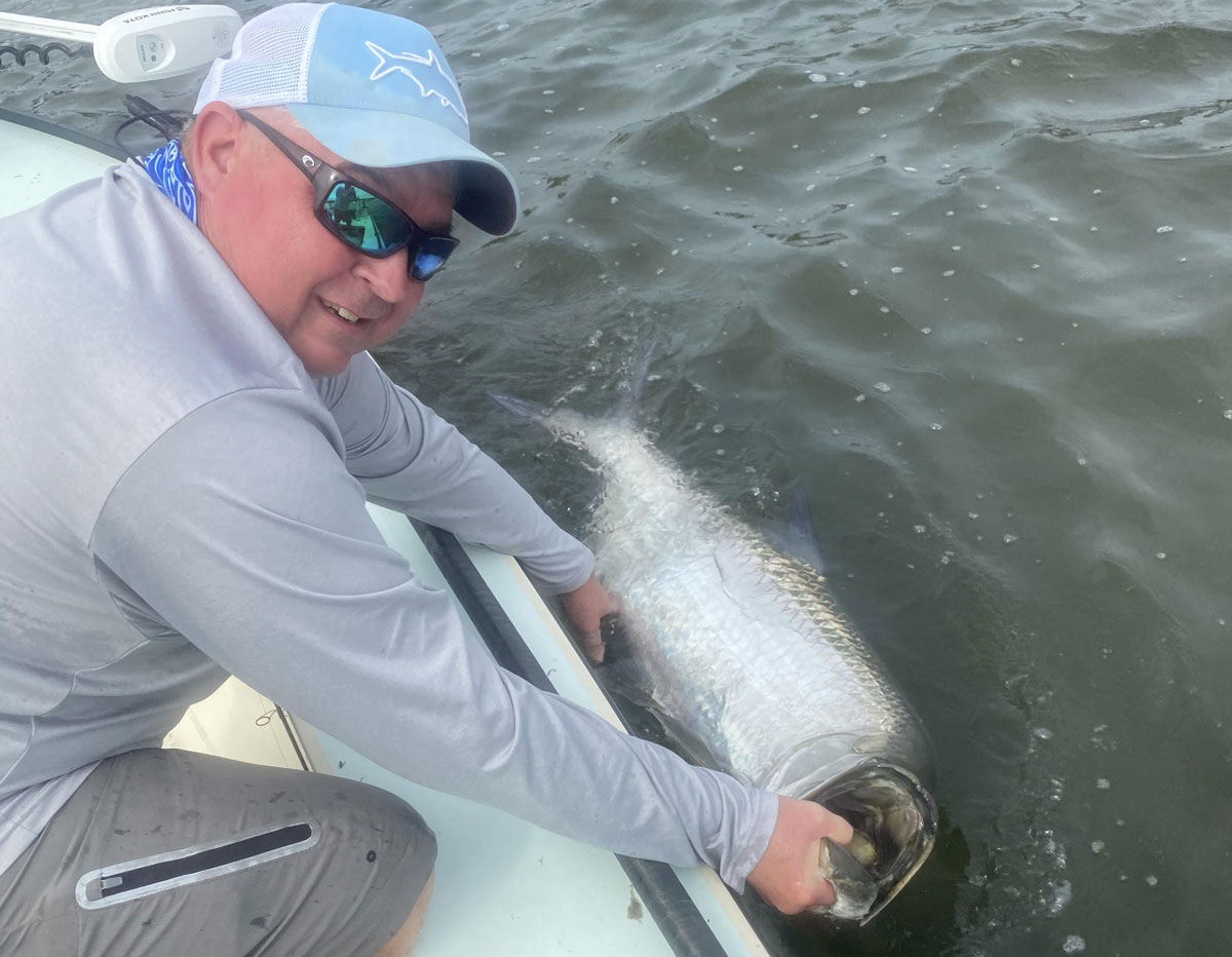 tarpon