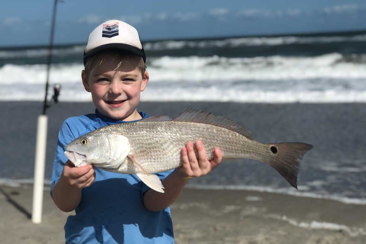 redfish in the surf