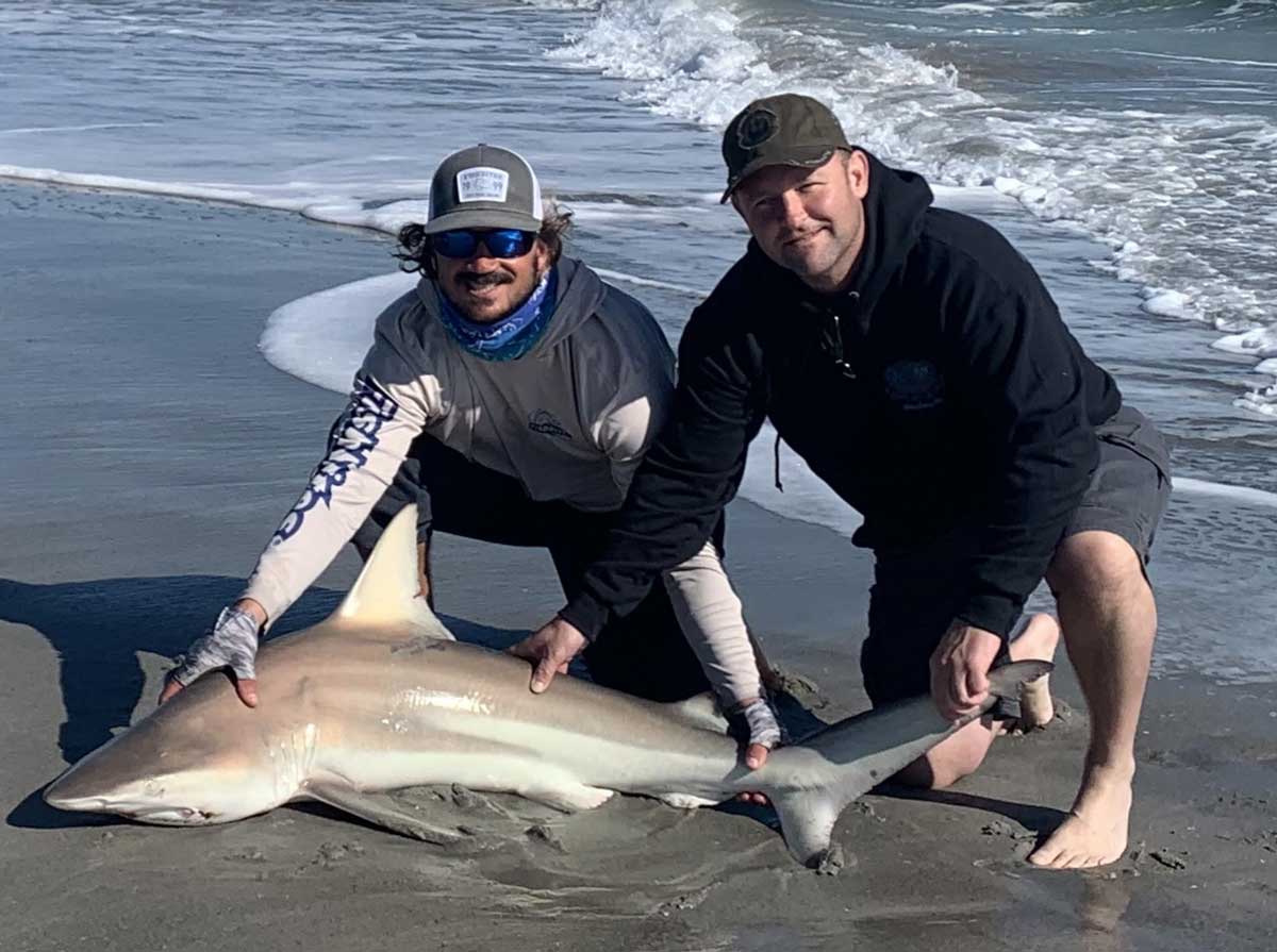 shark fishing in the surf