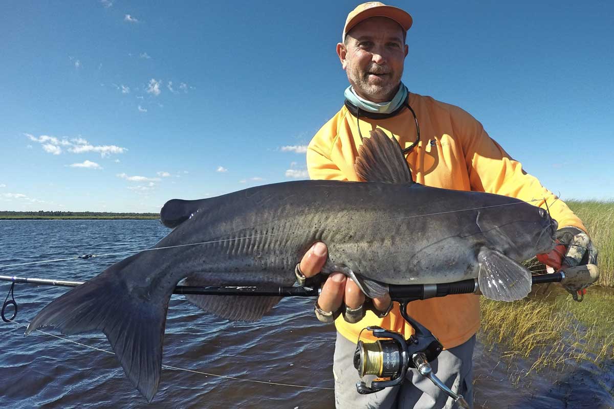 St Johns River Channel Cat Fishing