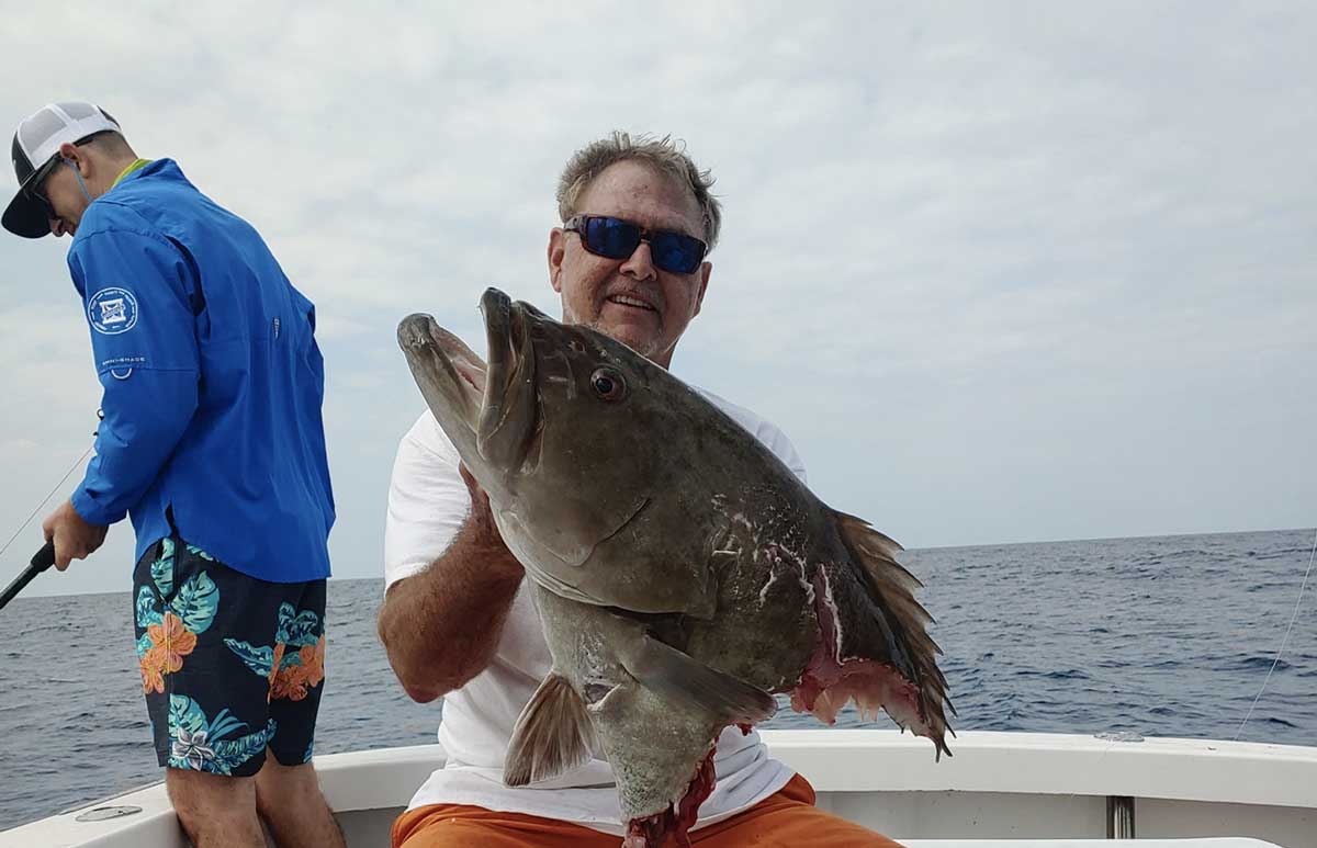 grouper season