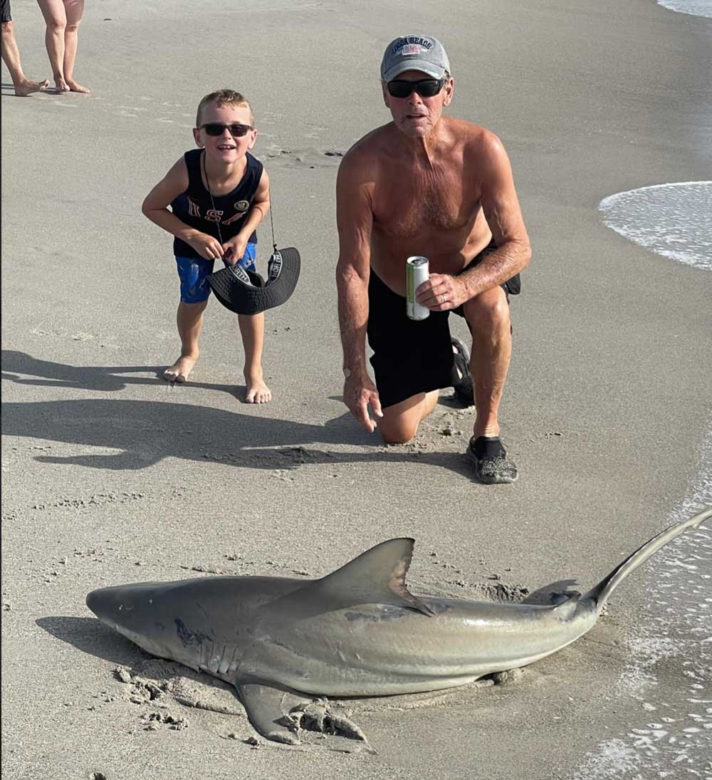 shark fishing from beach