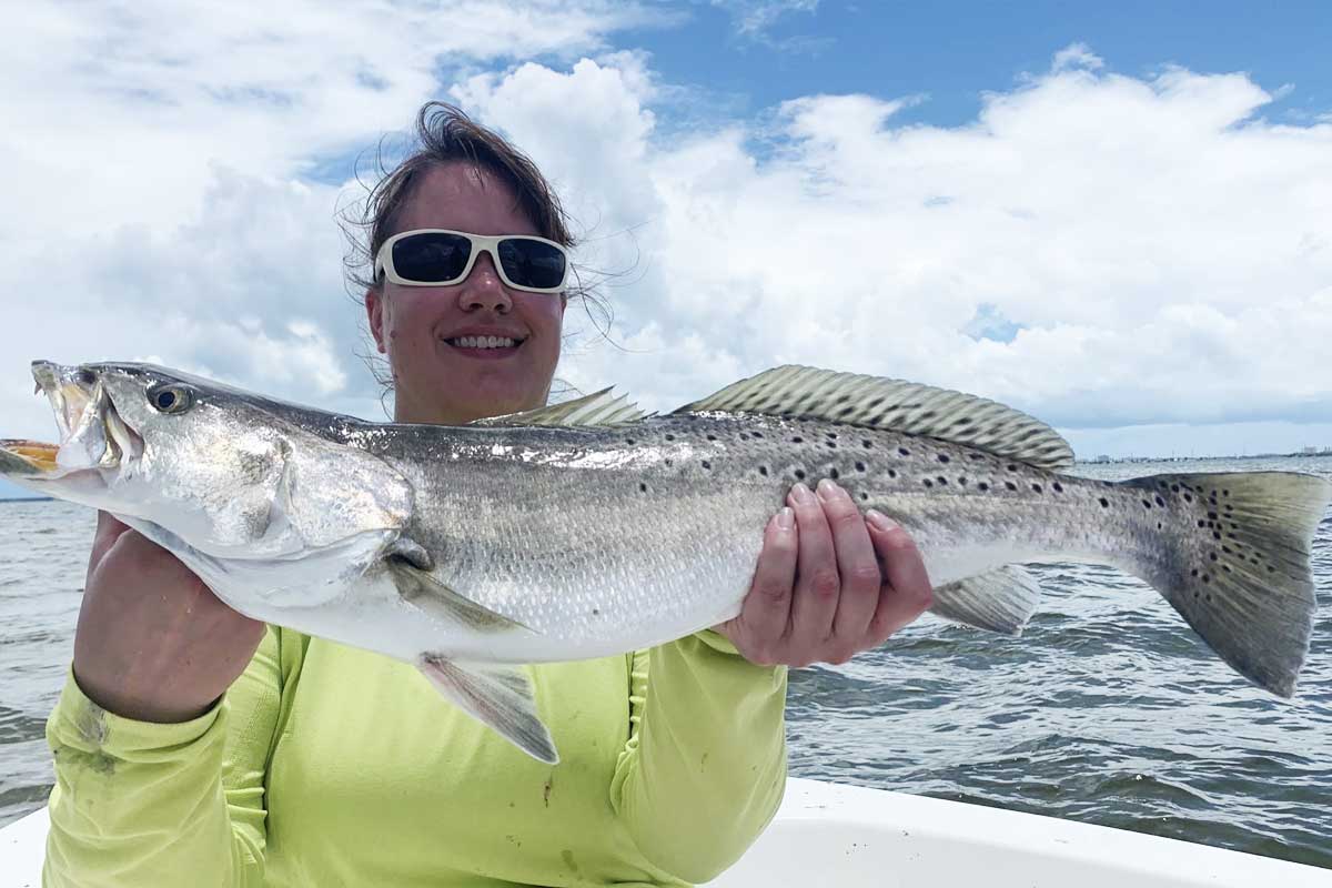 Indian river seatrout
