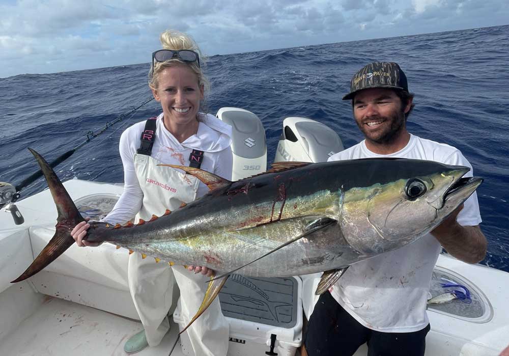 yellowfin tuna