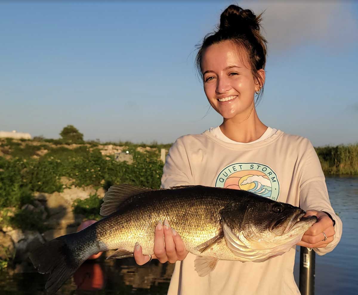 bass report