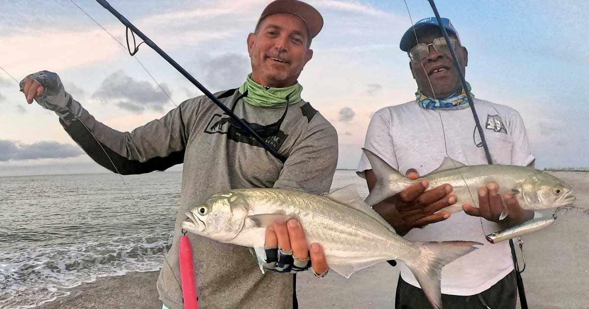 bluefish mullet run