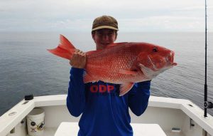 red snapper