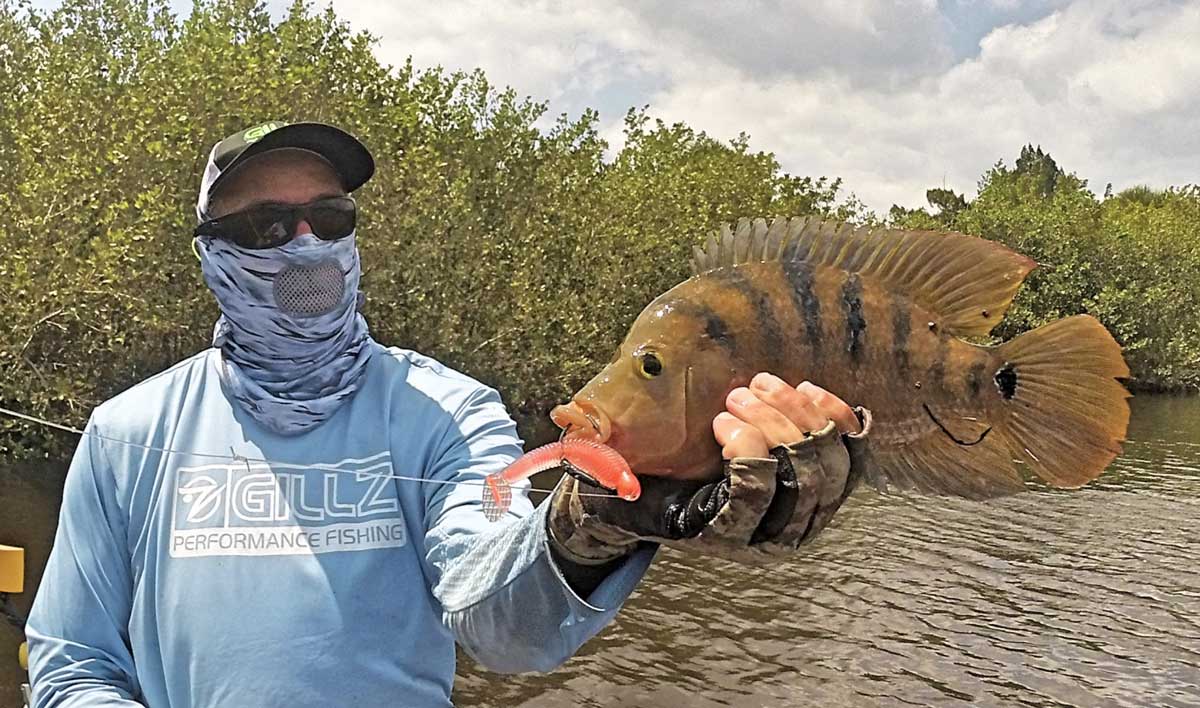 How To Catch Sheepshead In Residential Canals (Using Artificial Lures)