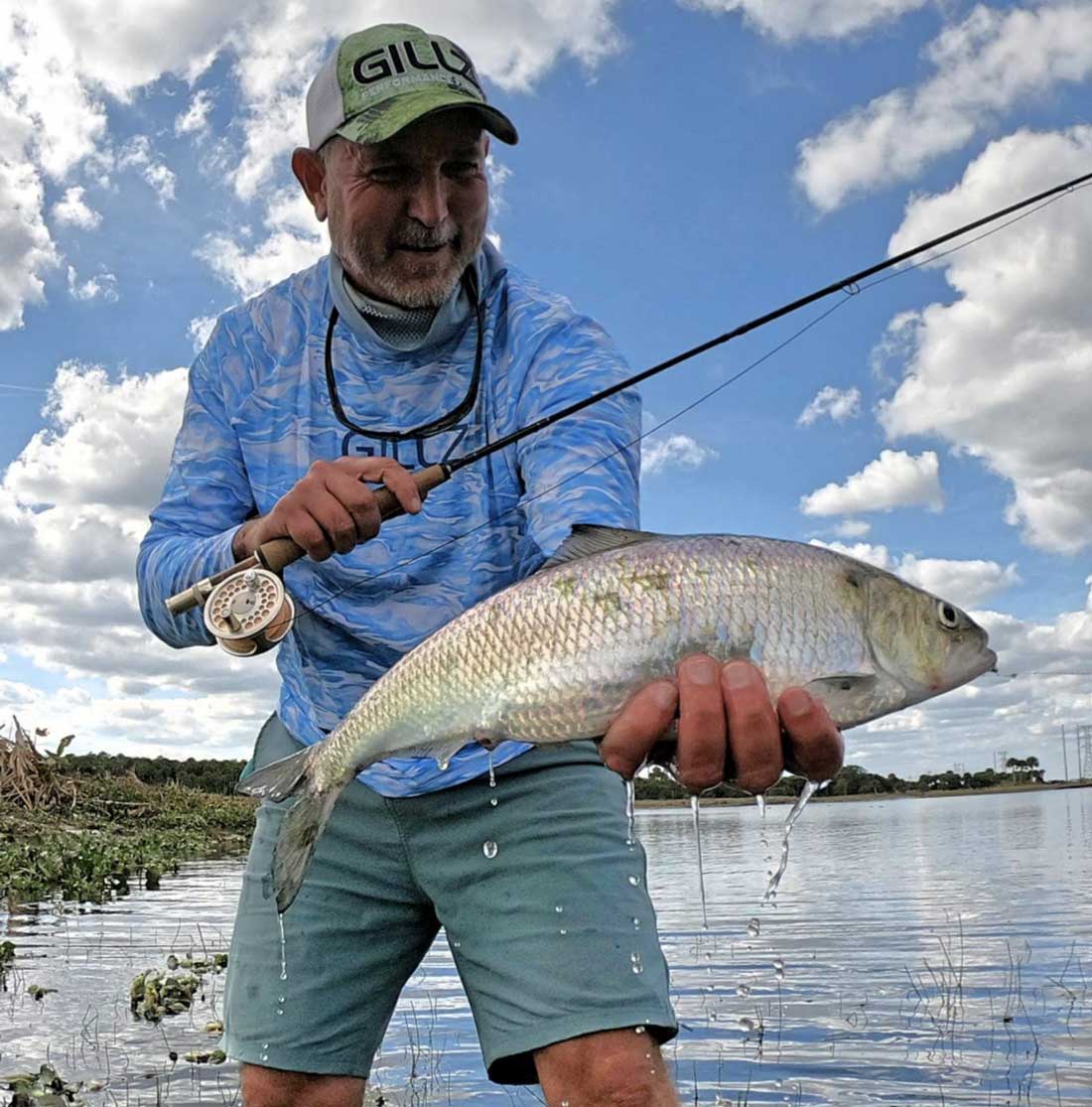 st johns american shad fishing