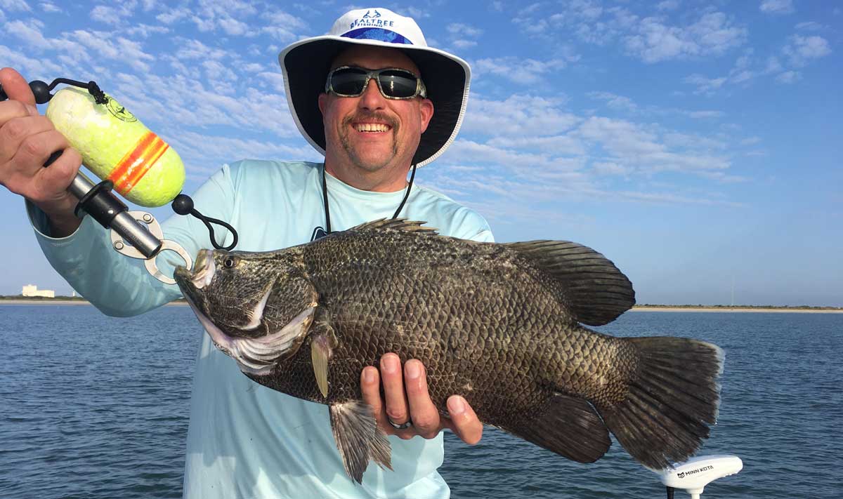 tripletail