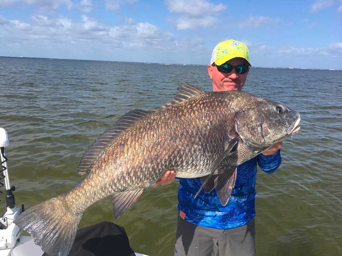 Black Drum Bite on Fire – Central FL Inshore Fishing Report