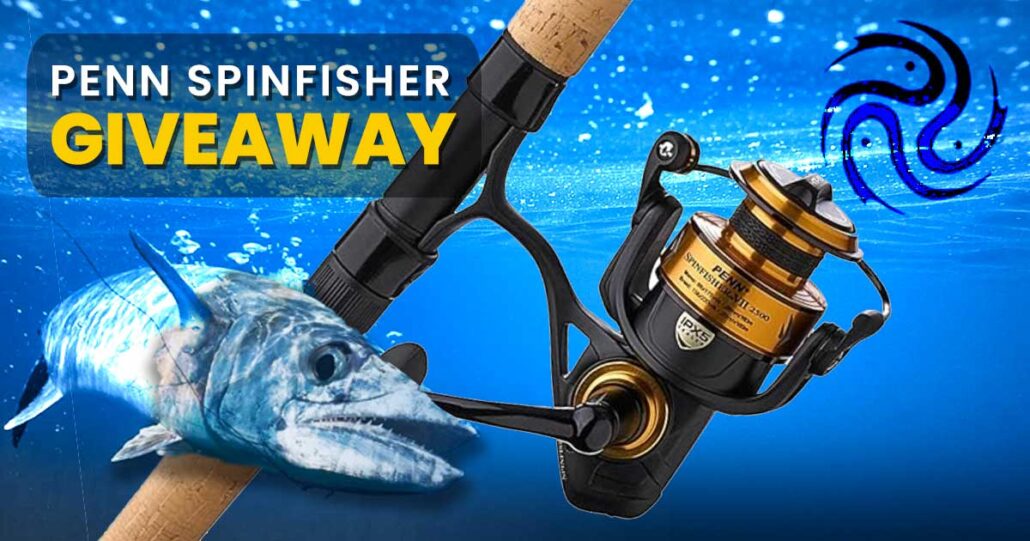 spinfisher combo giveaway