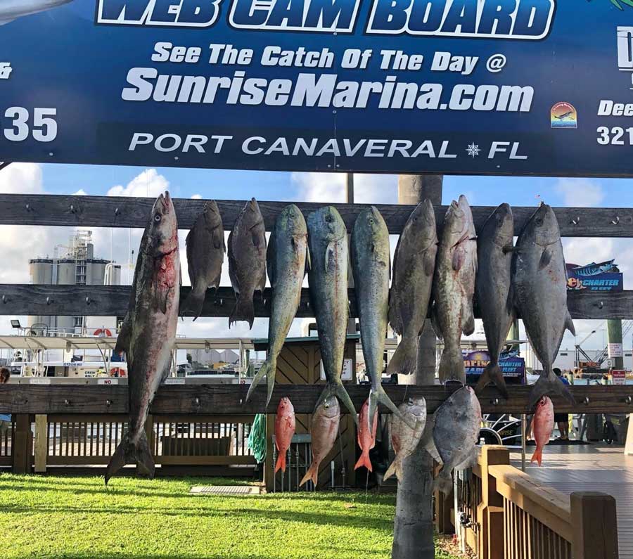 Grouper Season Opening Day – Port Canaveral Party Boat Fishing Report