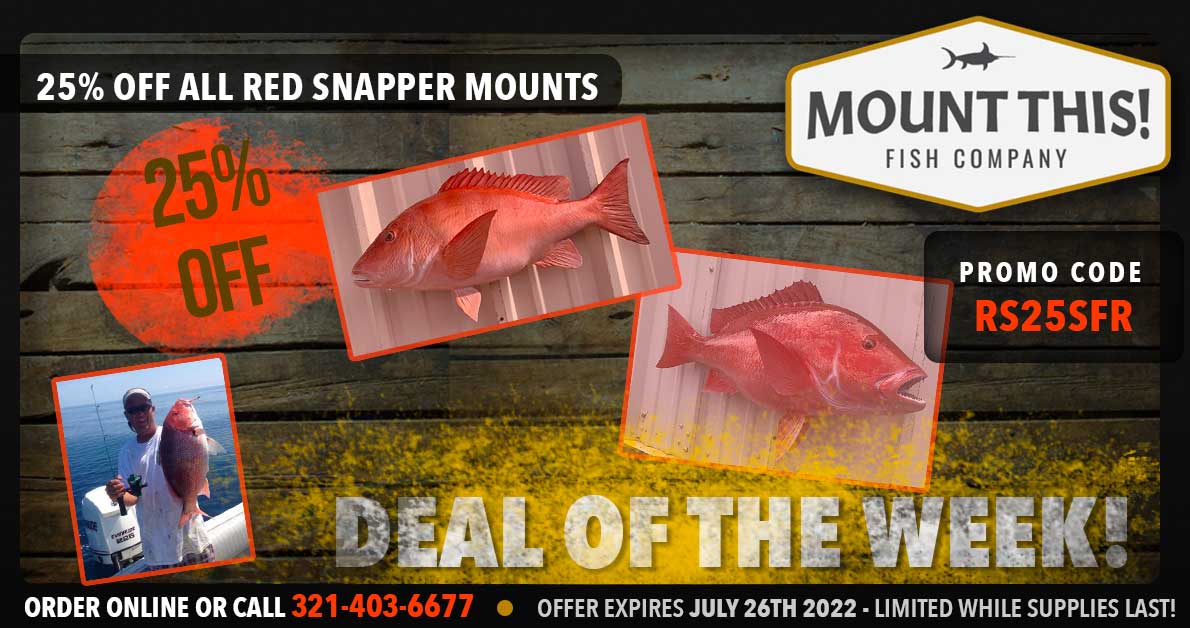 Red Snapper Fish Mounts