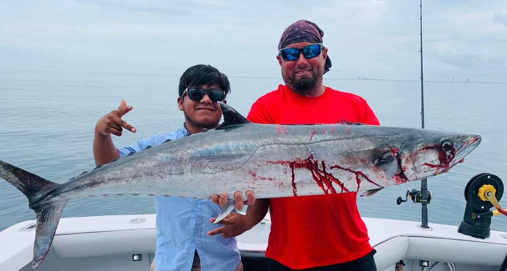kingfish