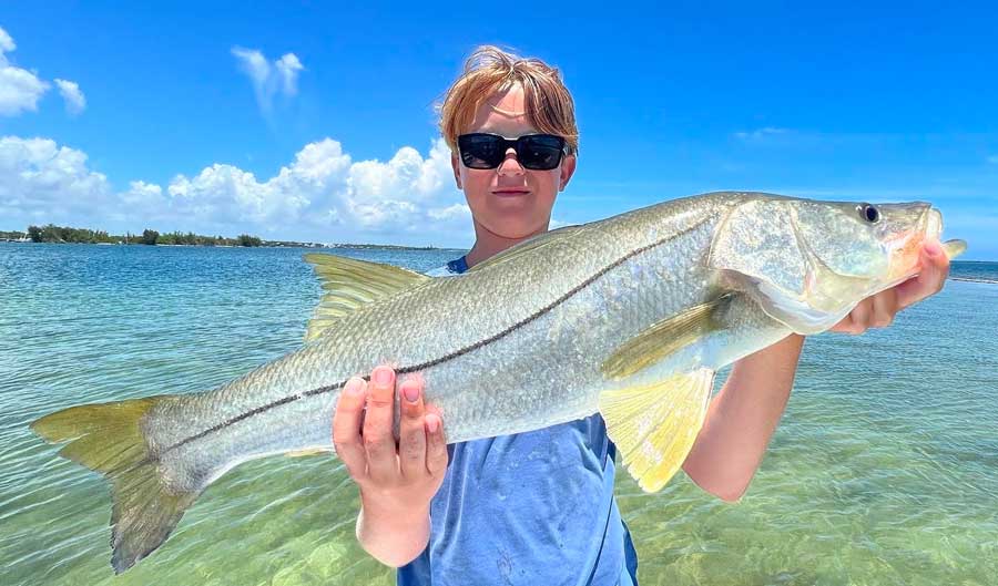 snook