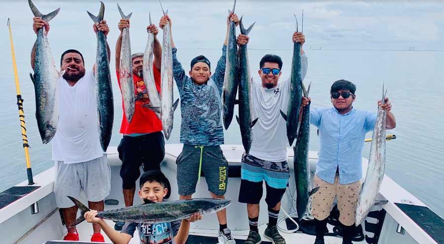 kingfish