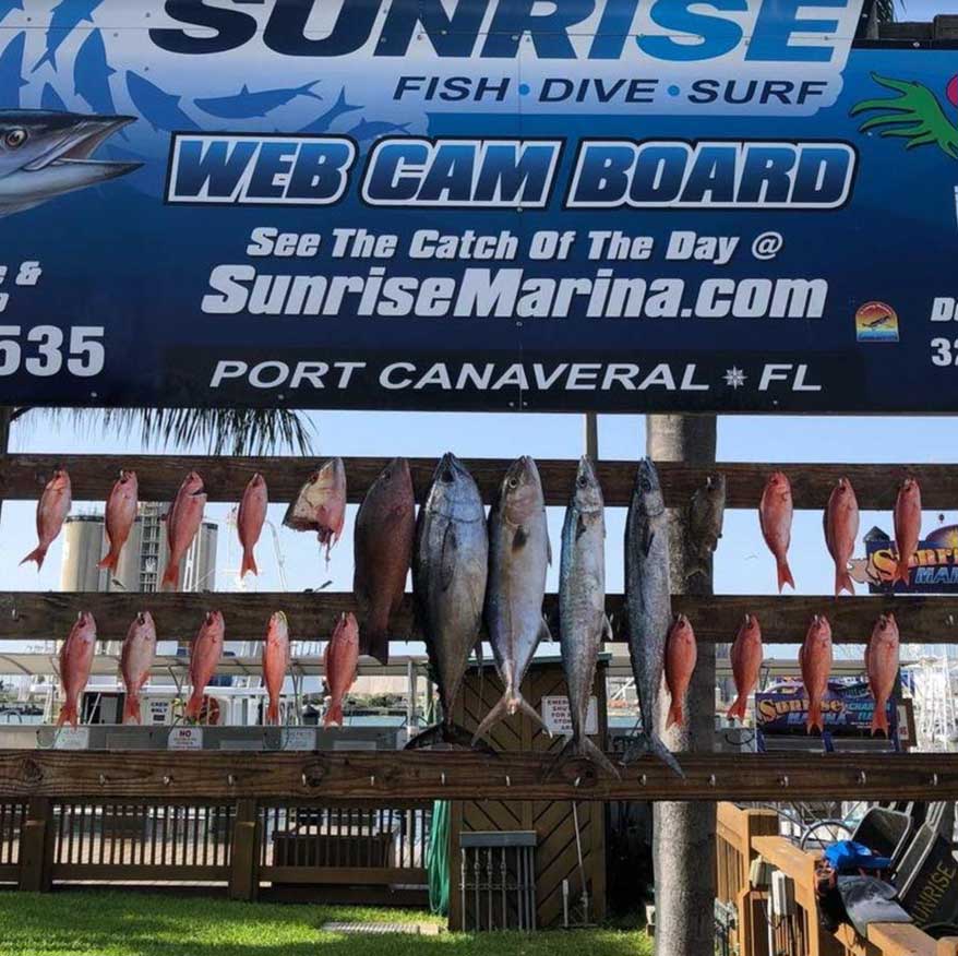 port canaveral