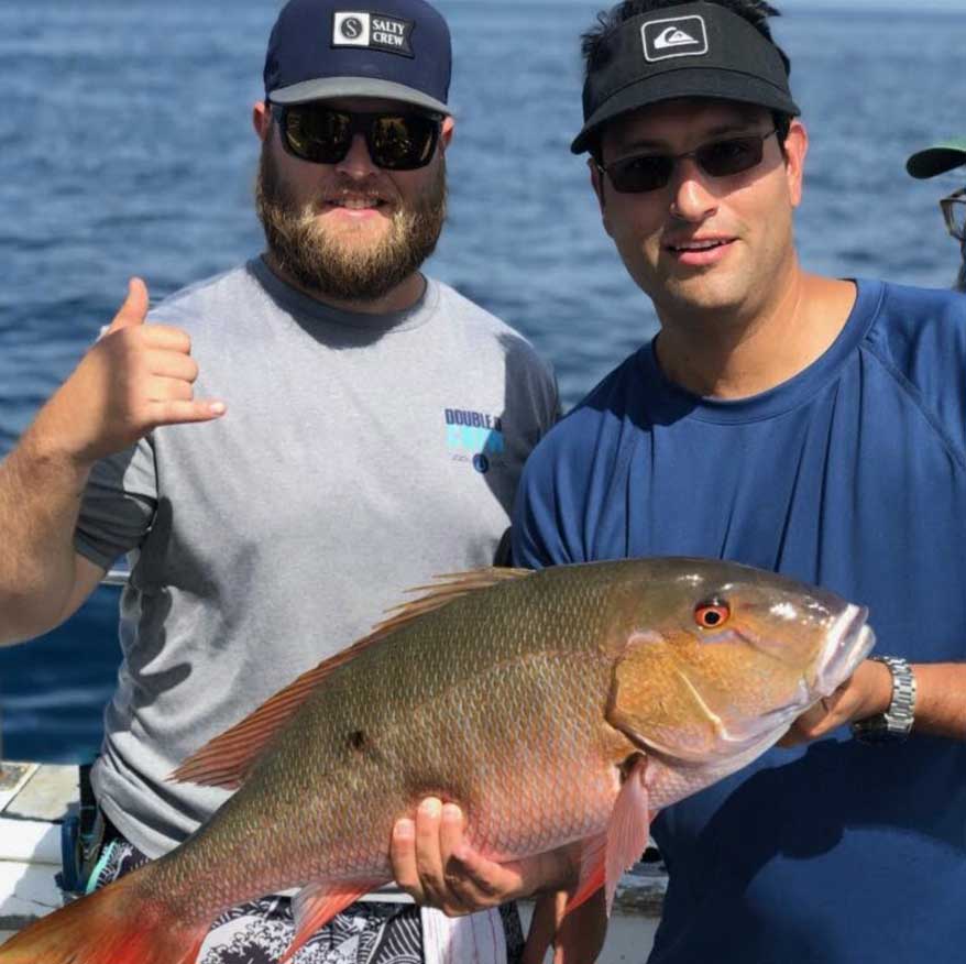 snapper
