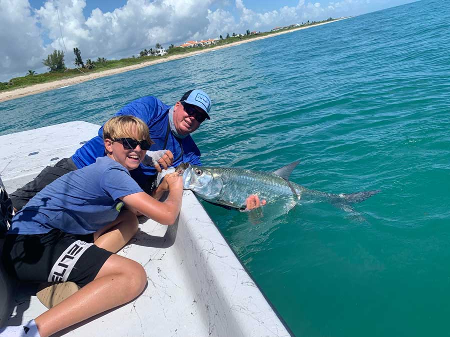 tarpon