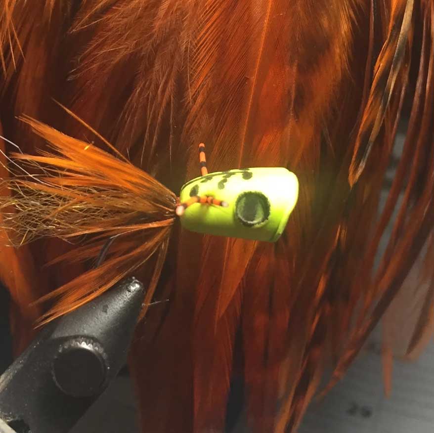 fly