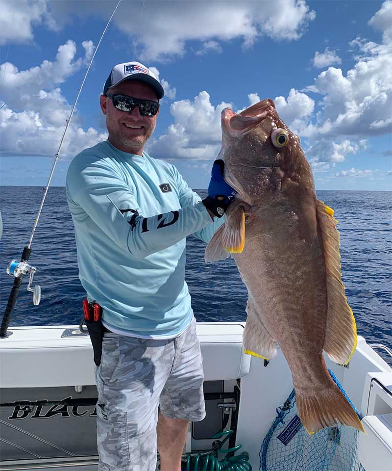 grouper