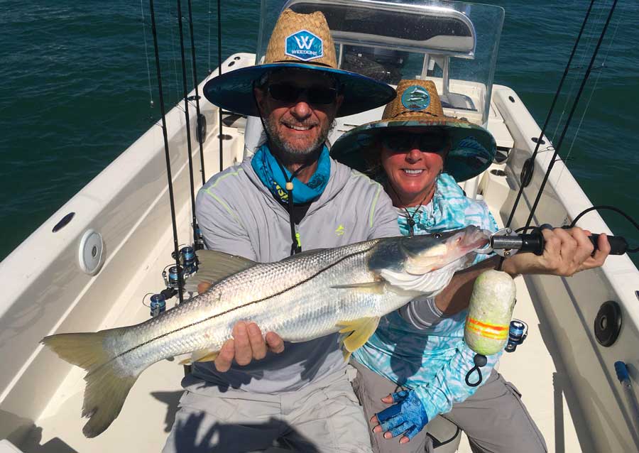 snook fishing