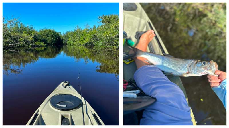 Kayak Fishing Report: Pine Island Conservation Area - Sam's Creek