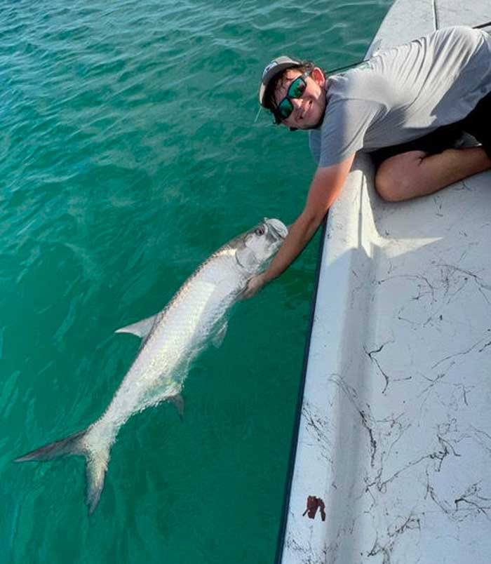 tarpon