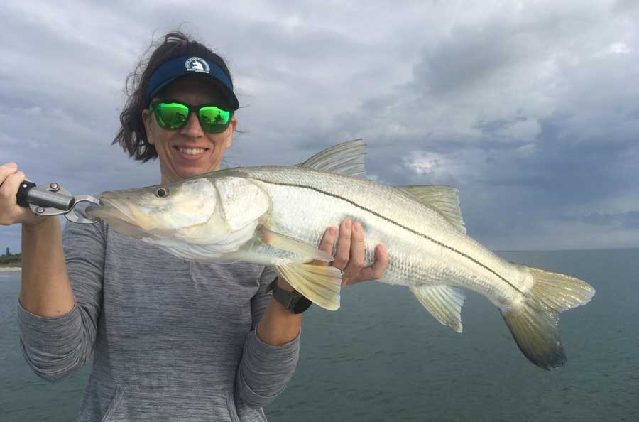 snook fishing