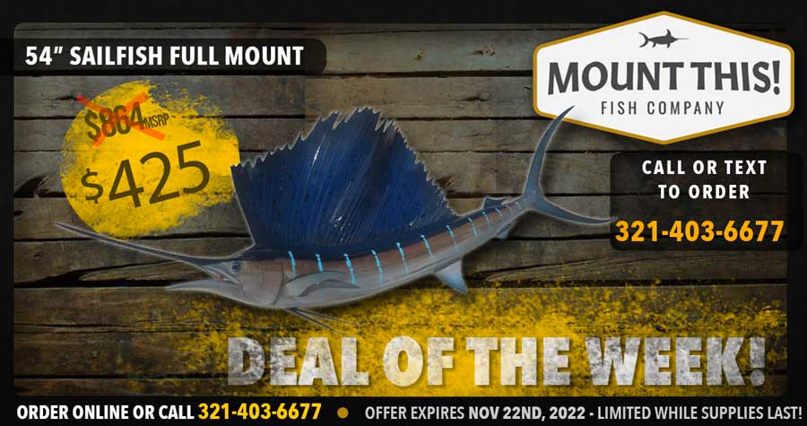 sailfish fish mount for sale