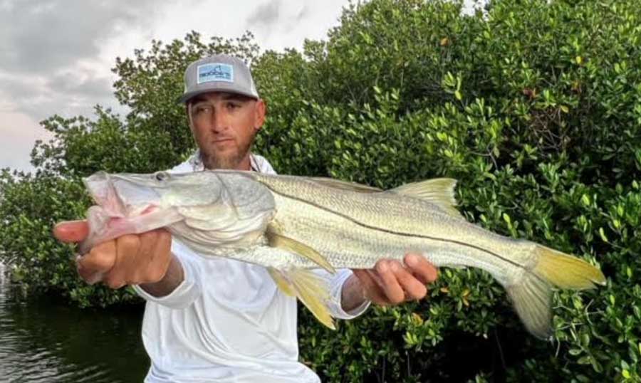 snook fly fishing