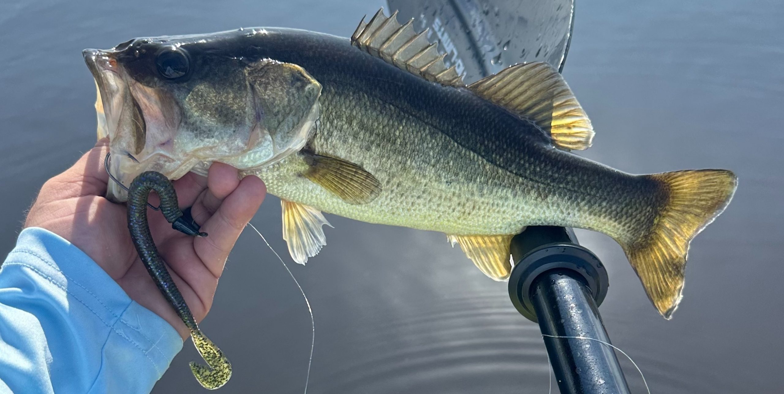 Was I fishing Charlie Brewer's SLIDER WORM all wrong? 