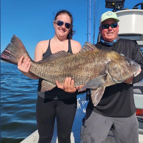 black drum
