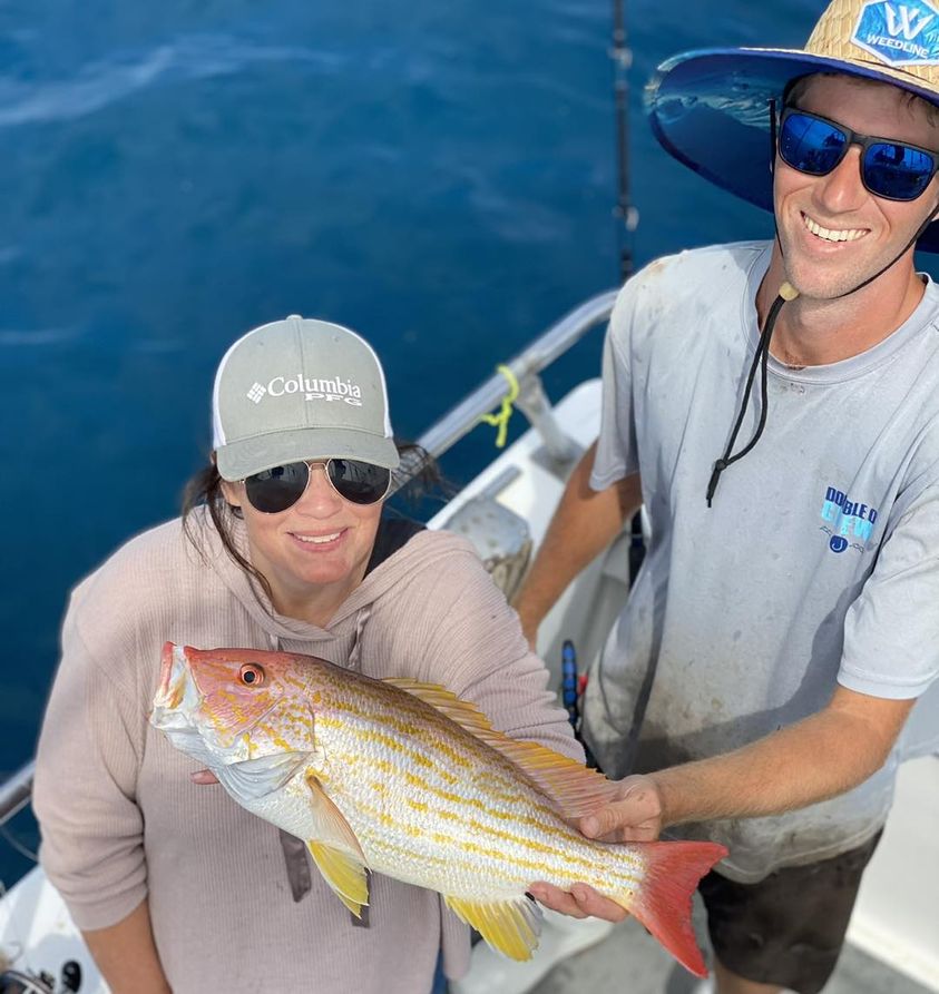 snapper