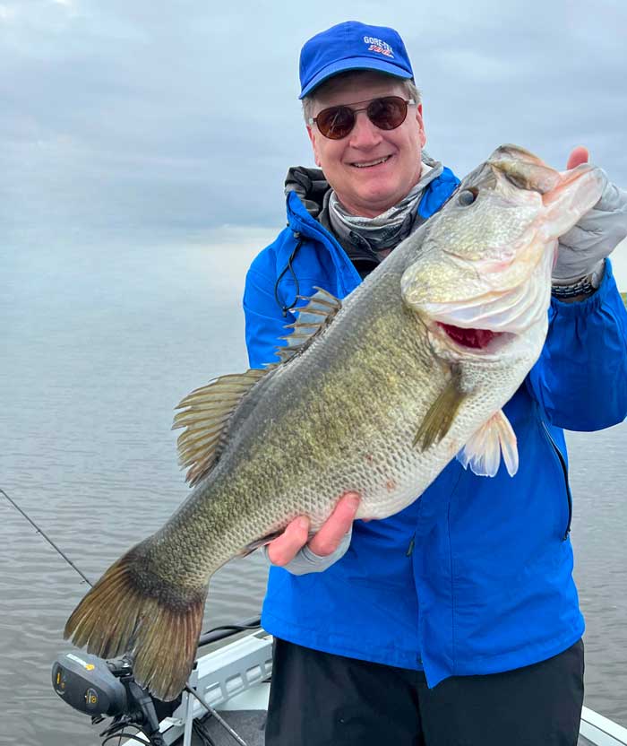 bass report