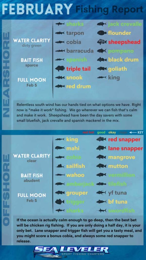 port canaveral fishiong