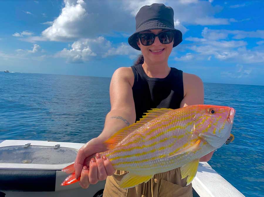 snapper