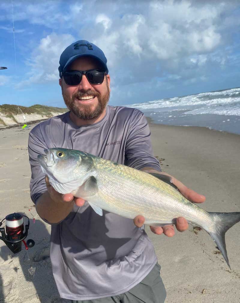 bluefish in the surf