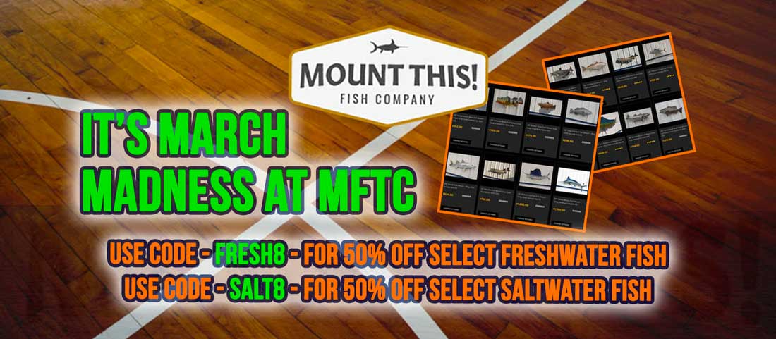 March Madness Fish Mount Sale