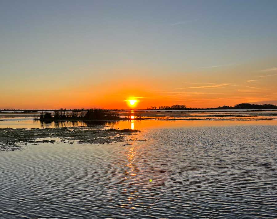 stick marsh sunrise