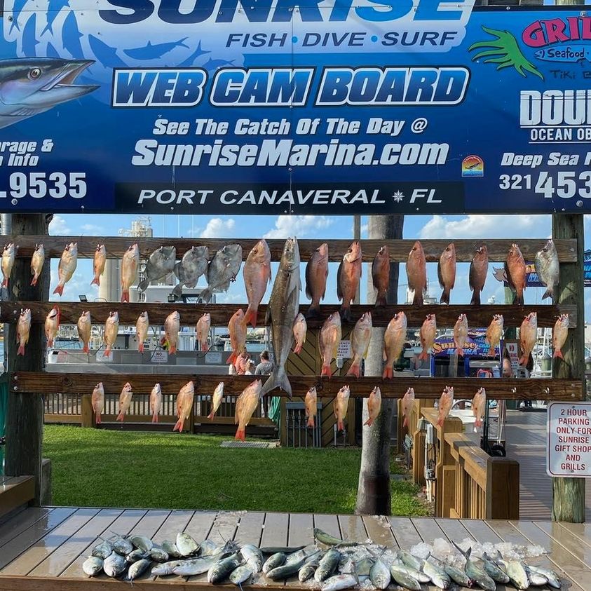 grocery-trips-on-the-oo-port-canaveral-deep-sea-fishing-report