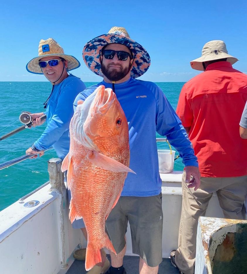 snapper