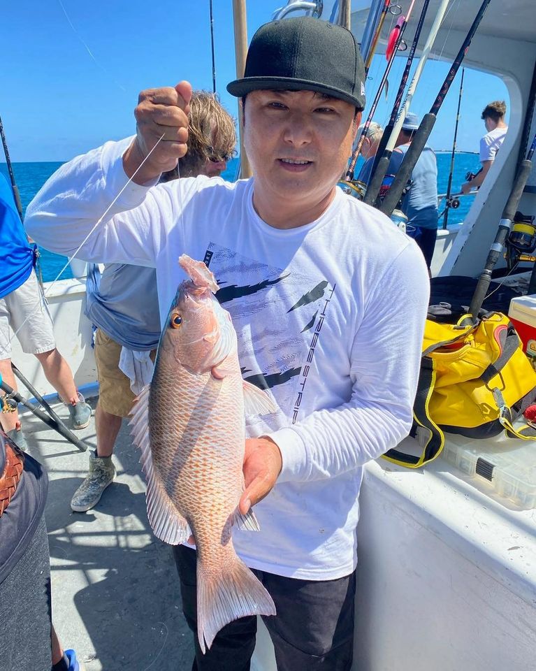 snapper