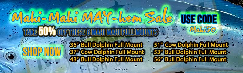 May Fish Mount Sale