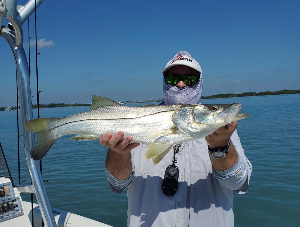 Snook feed on glass minnows near Capt. Joe's Tackle in Fort Pierce.