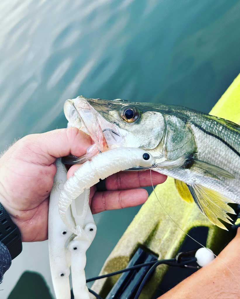 another snook