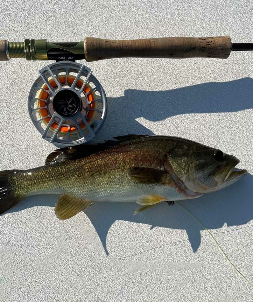 Good Fishing on Garcia – Lake Garcia Bass Fishing Report