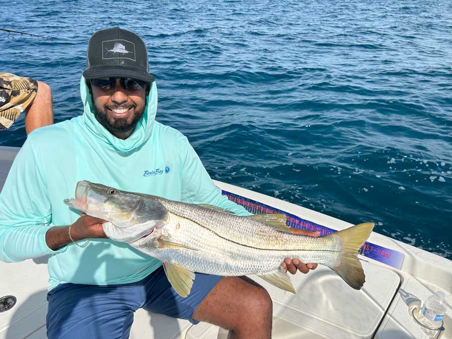 snook fishing